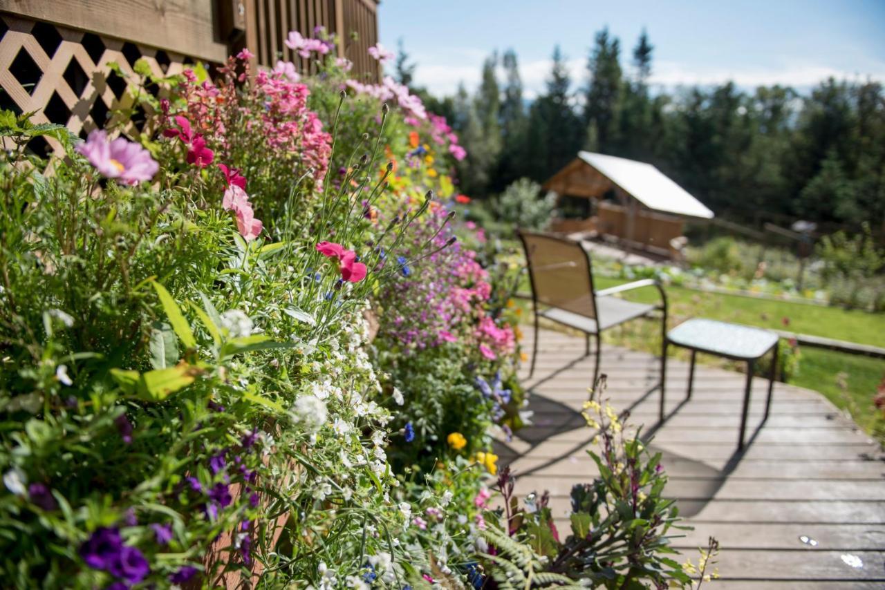 Bear Creek Winery And Lodging Bed & Breakfast Homer Ngoại thất bức ảnh
